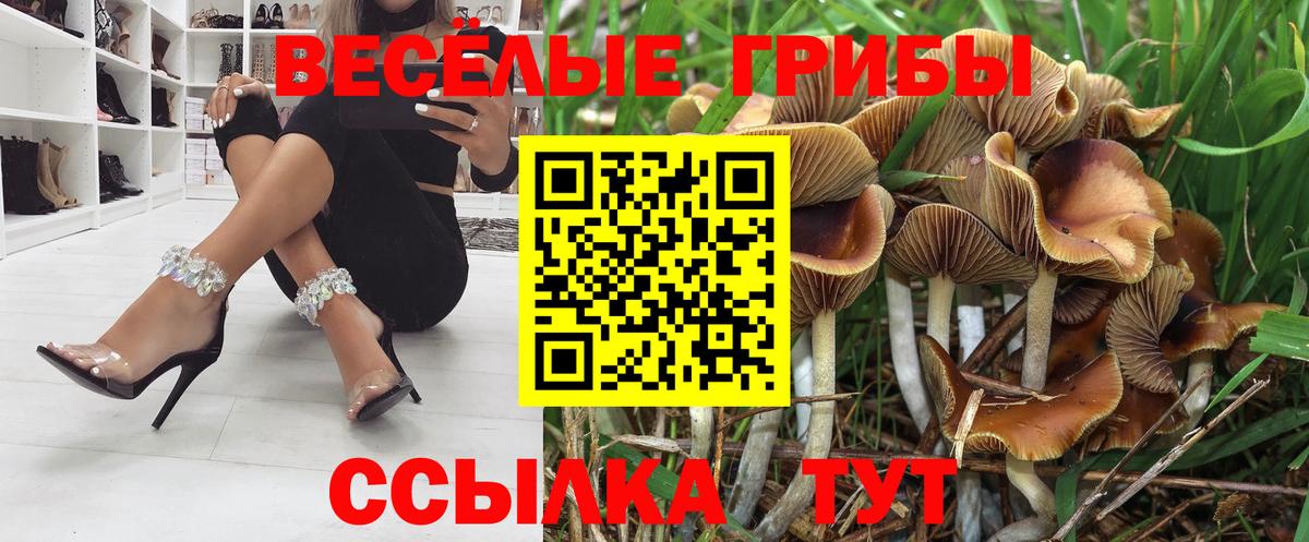 где продают наркотики  Галлюциногенные грибы GOLDEN TEACHER  Вход с VPN  Галлюциногенные грибы ЛСД  Лабинск 